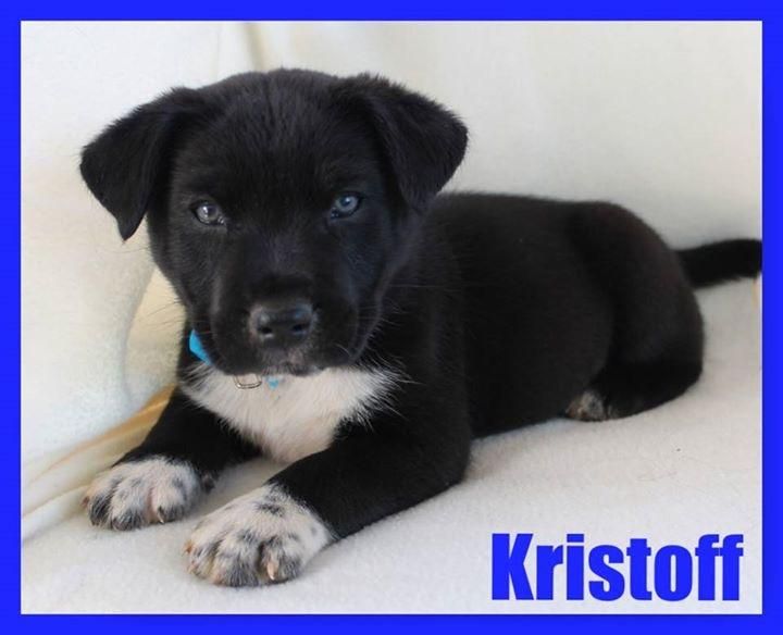 Kristoff - CP thumbnail 4