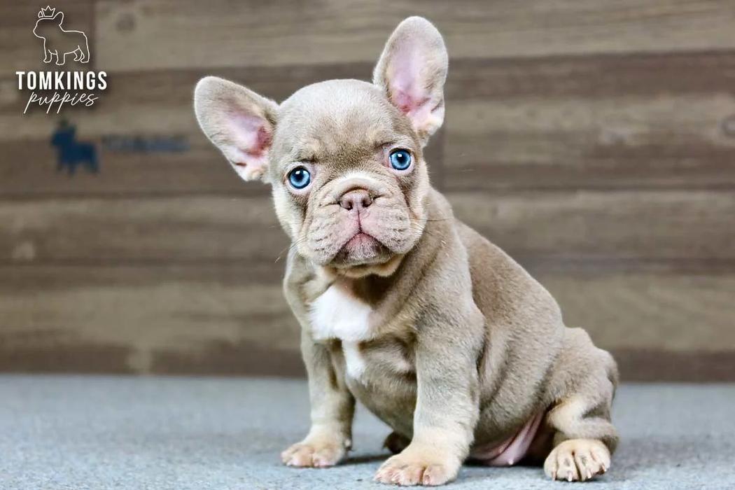 Ottilie, the Cuddly
