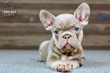 Ottilie, the Cuddly thumbnail 5