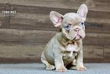 Ottilie, the Cuddly thumbnail 2