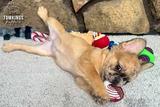 Cajun, the Sassy Sweetheart thumbnail 2