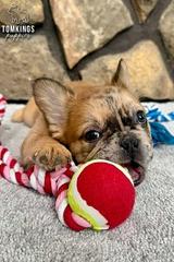 Cajun, the Sassy Sweetheart thumbnail 4
