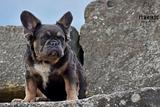 Holly, the Innocent Baby thumbnail 5