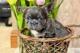 Holly, the Innocent Baby thumbnail 6