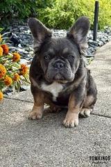 Holly, the Innocent Baby thumbnail 4