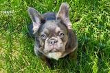 Holly, the Innocent Baby thumbnail 2