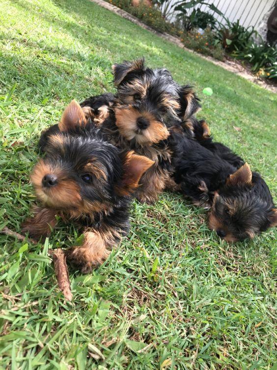 Available for sale
