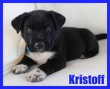 Kristoff - CP thumbnail 4